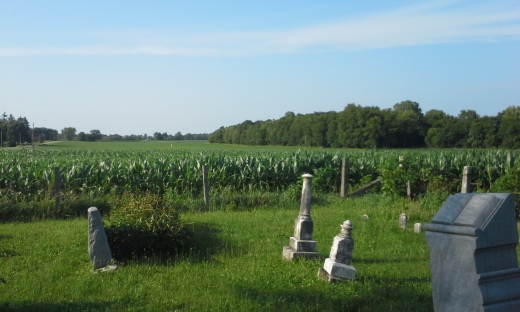 Cornfields and Cemeteries